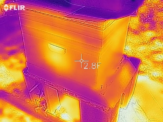 FLIR Snapshot
