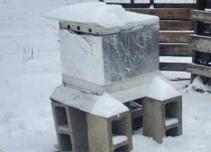 hive_in_snow