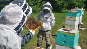 Bee Day