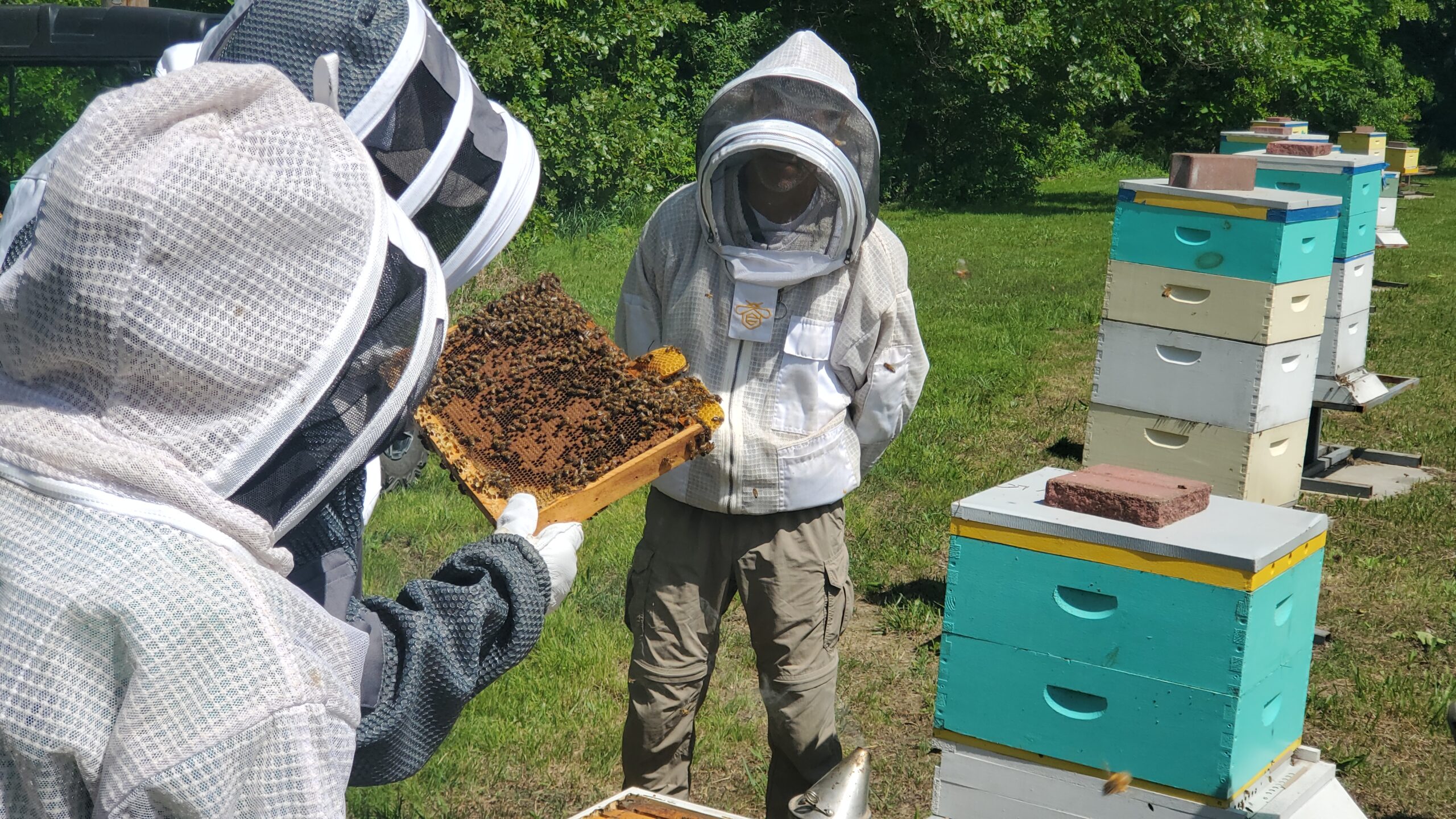 Bee Day